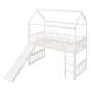 Twin Loft Bed with Slide;  House Bed with Slide